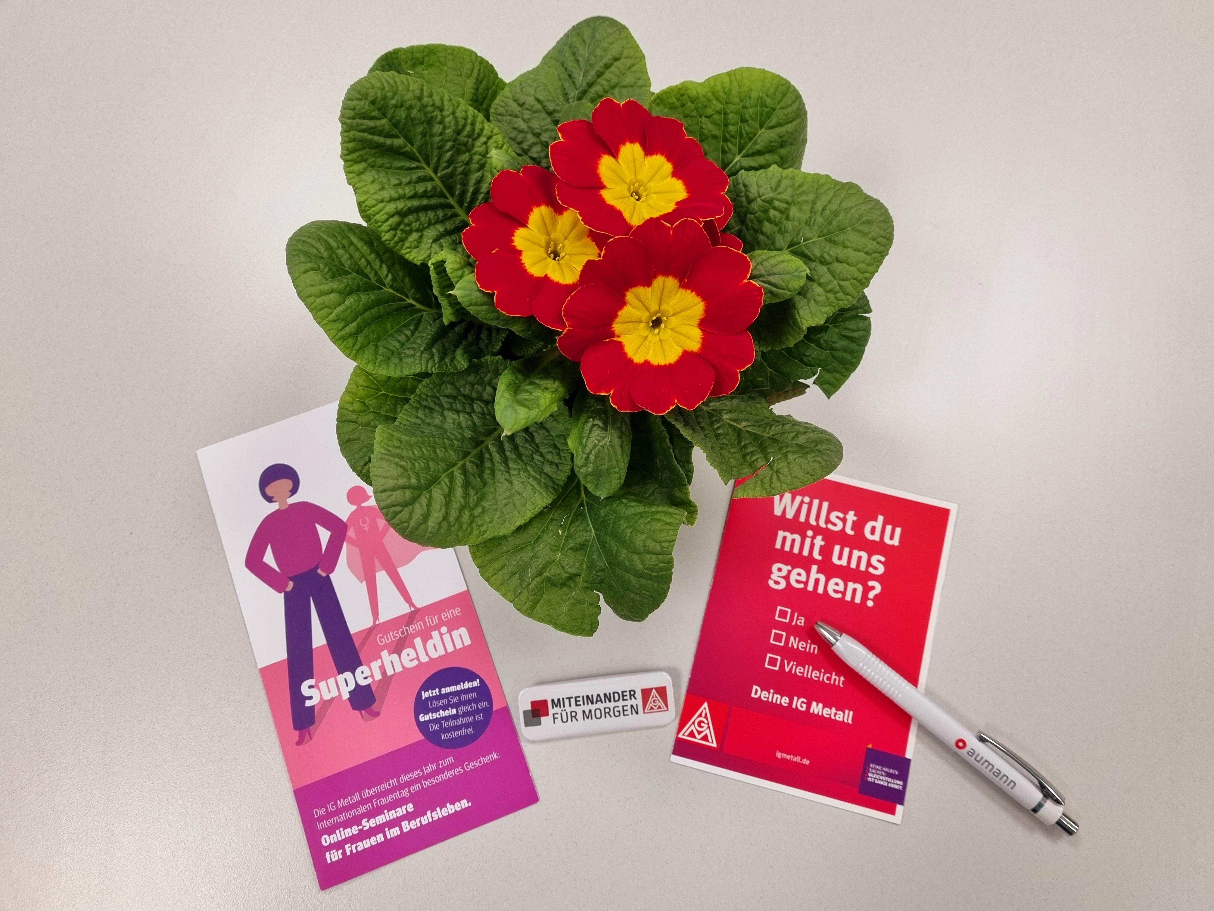 Weltfrauentag 2024